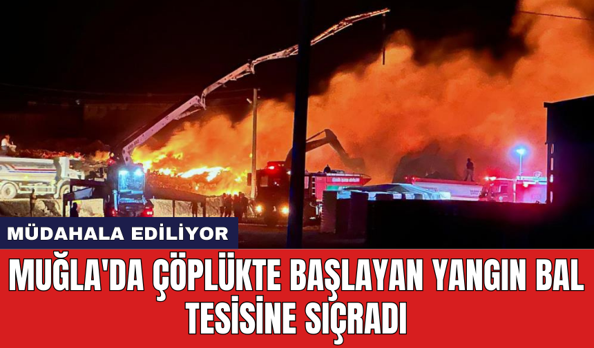 Muğla'da çöplükte başlayan yangın bal tesisine sıçradı