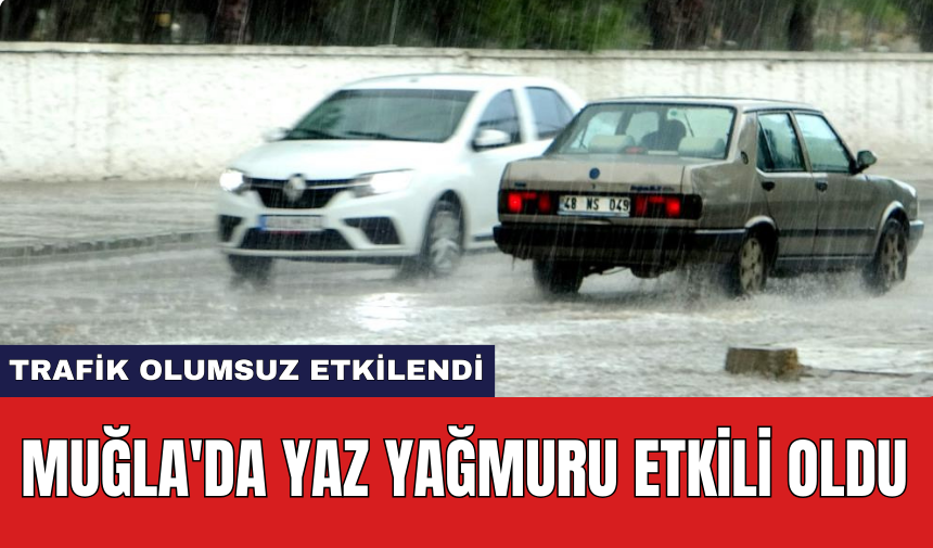 Muğla'da yaz yağmuru etkili oldu