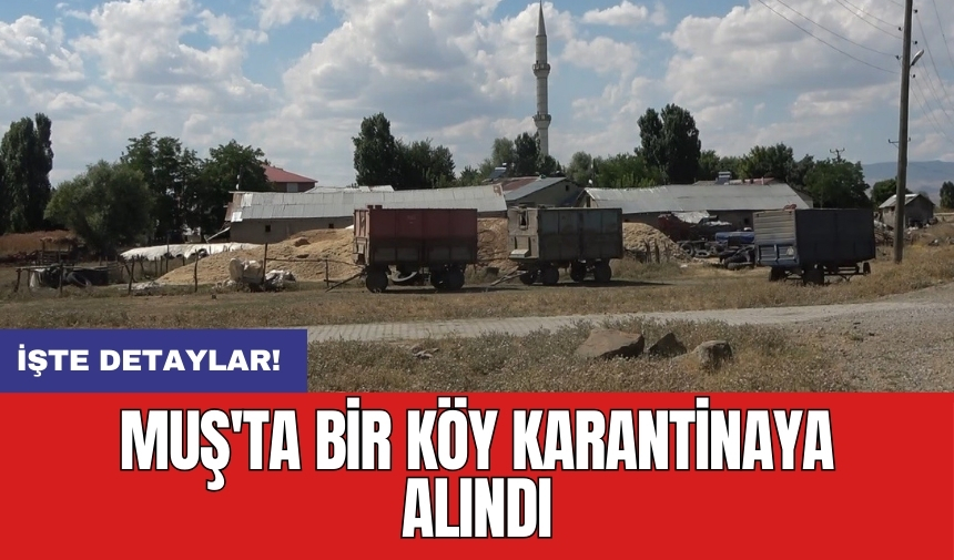 Muş'ta bir köy karantinaya alındı