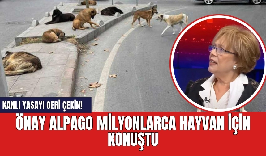 Önay Alpago milyonlarca hayvan için konuştu