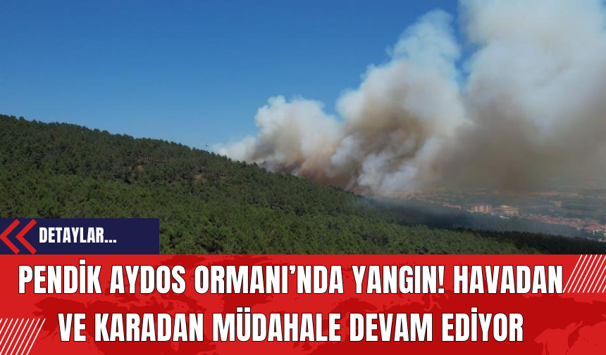 Pendik Aydos Ormanı’nda Yangın: Havadan ve Karadan Müdahale Devam Ediyor