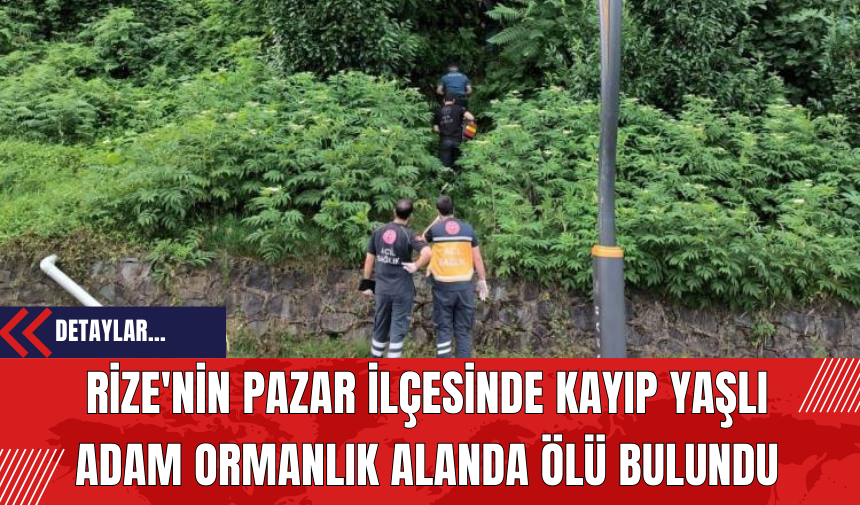 Rize'nin Pazar İlçesinde Kayıp Yaşlı Adam Ormanlık Alanda Ölü Bulundu