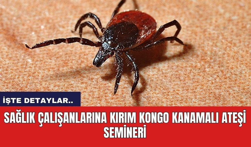 Sağlık Çalışanlarına :Kırım Kongo Kanamalı Ateşi Semineri