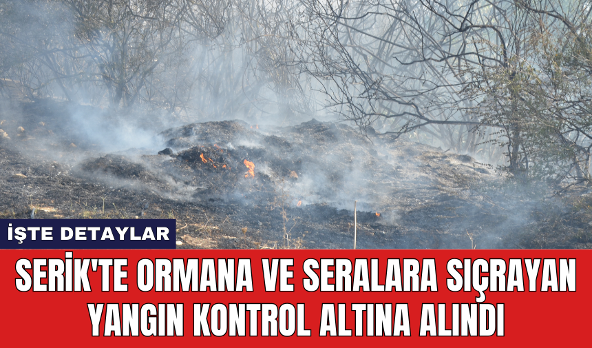 Serik'te ormana ve seralara sıçrayan yangın kontrol altına alındı