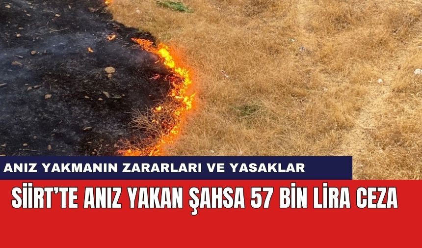 Siirt’te anız yakan şahsa 57 bin lira ceza