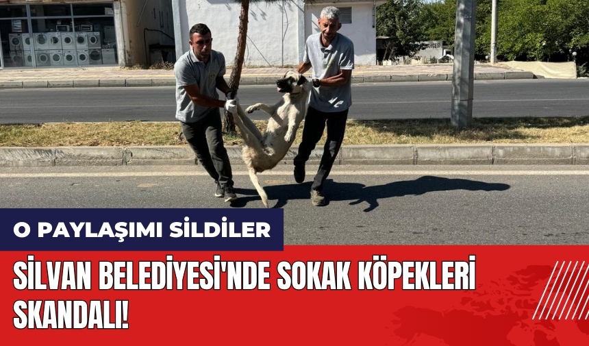 Silvan Belediyesi'nde sokak köpekleri skandalı! O paylaşımı sildiler