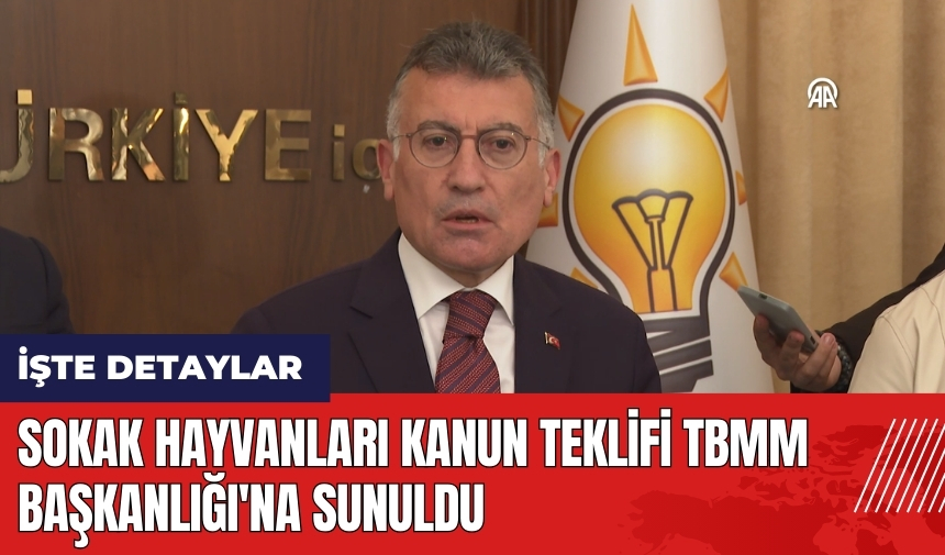 Sokak hayvanları kanun teklifi TBMM Başkanlığı'na sunuldu