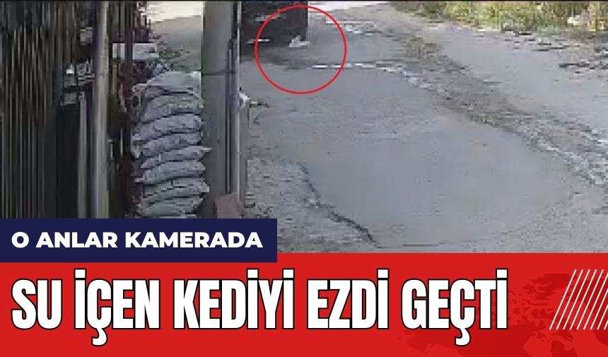 Su içen kediyi ezdi geçti