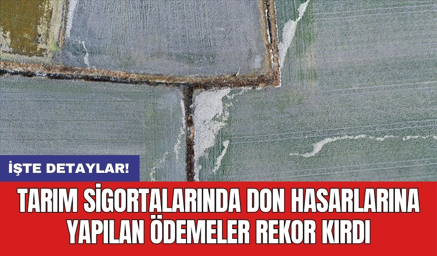 Tarım sigortalarında don hasarlarına yapılan ödemeler rekor kırdı