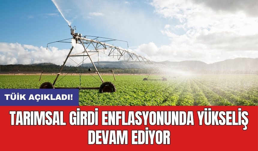 Tarımsal girdi enflasyonunda yükseliş devam ediyor