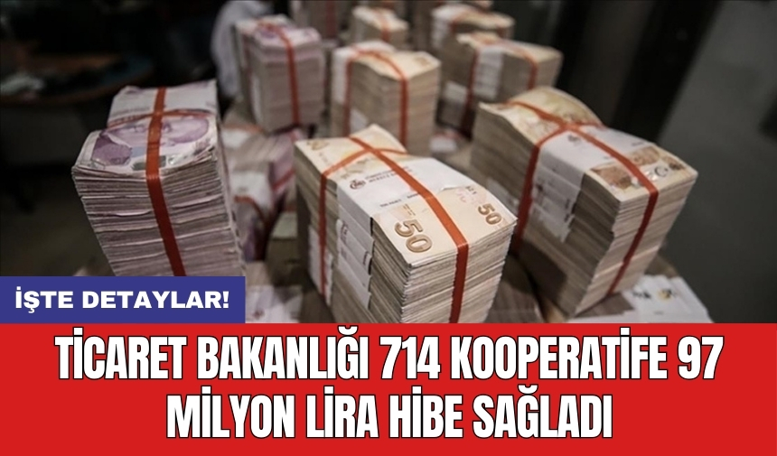 Ticaret Bakanlığı 714 kooperatife 97 milyon lira hibe sağladı