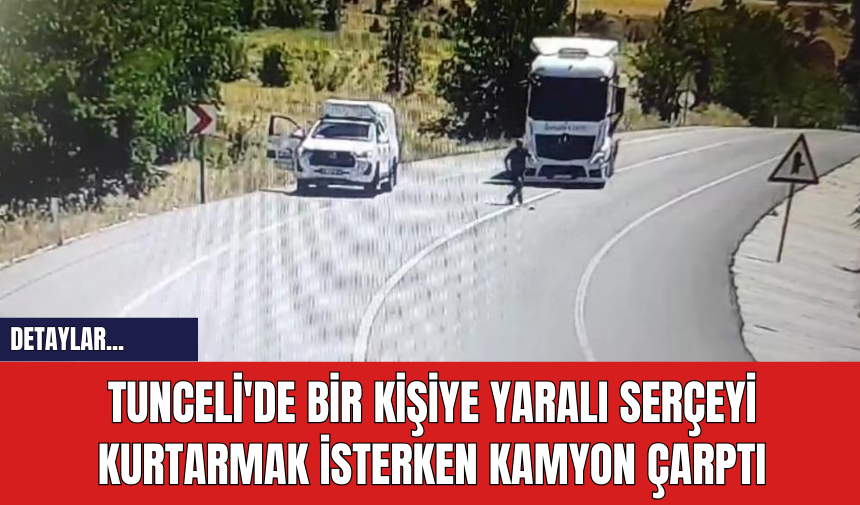 Tunceli'de Bir Kişiye Yaralı Serçeyi Kurtarmak İsterken Kamyon Çarptı