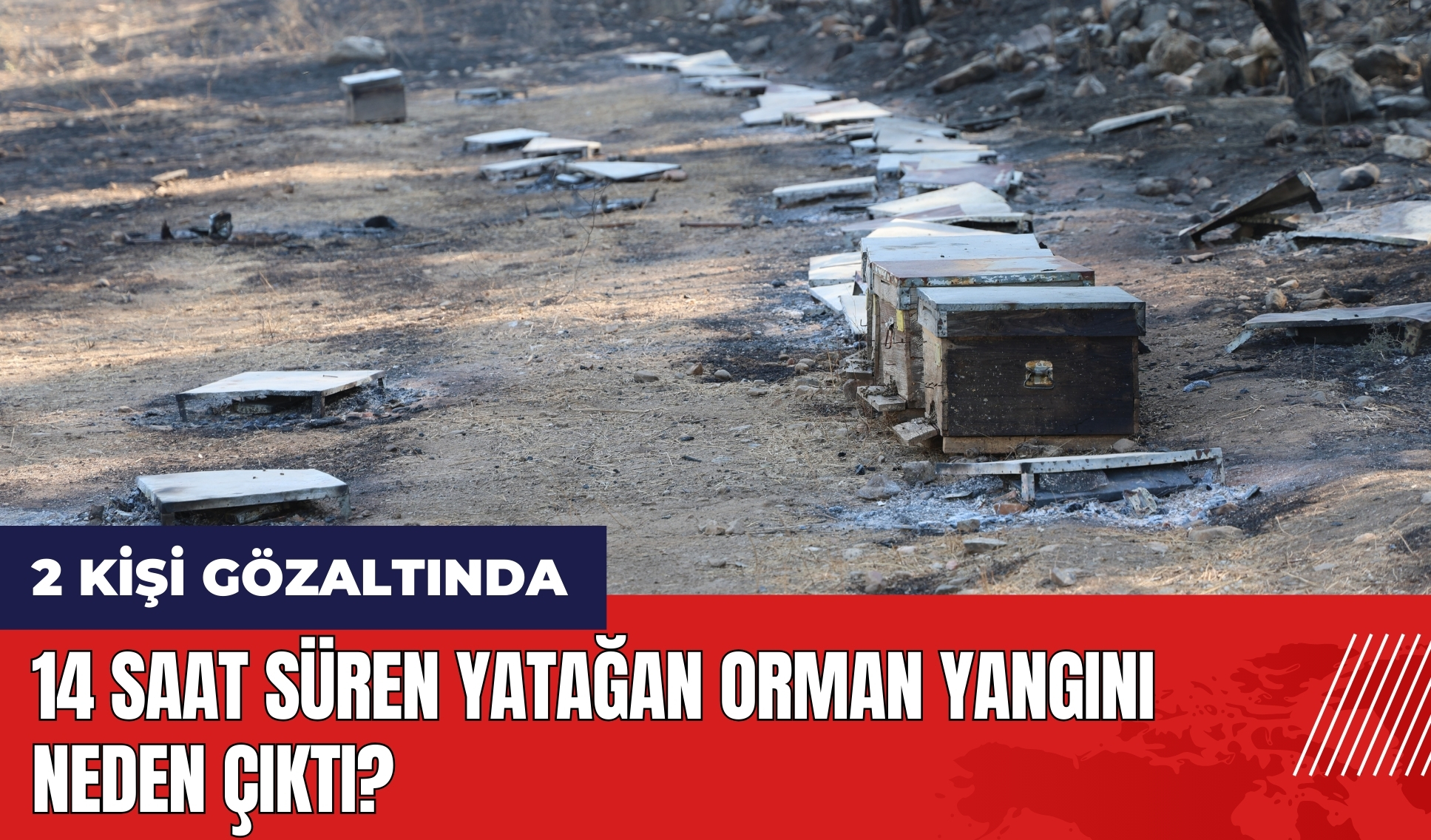 14 saat süren Yatağan orman yangını neden çıktı? İşte yangının çıkış yeri