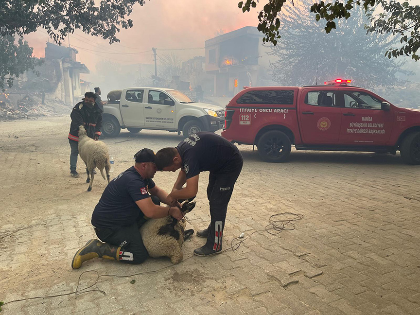 İzmir ve Manisa'daki orman yangınlarına müdahale sürüyor