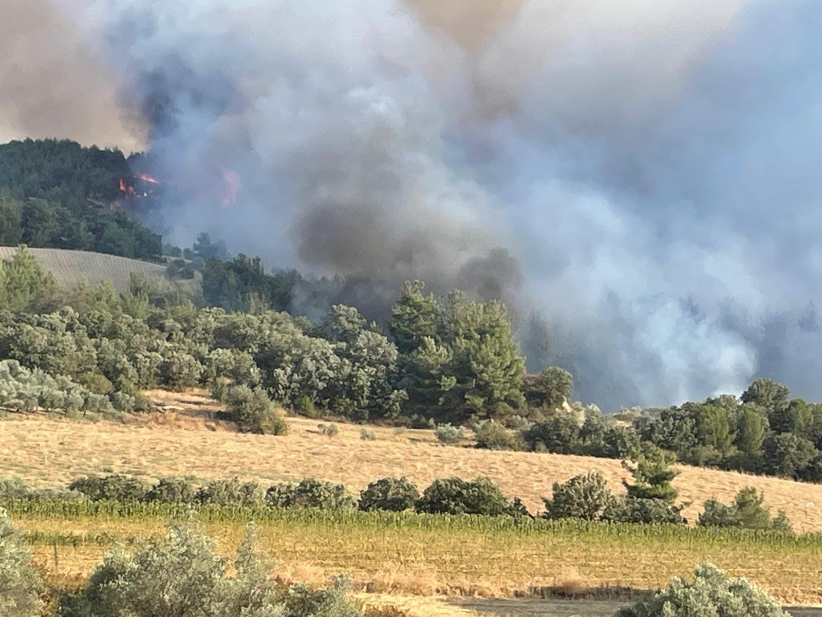 Manisa’daki 2 orman yangını devam ediyor