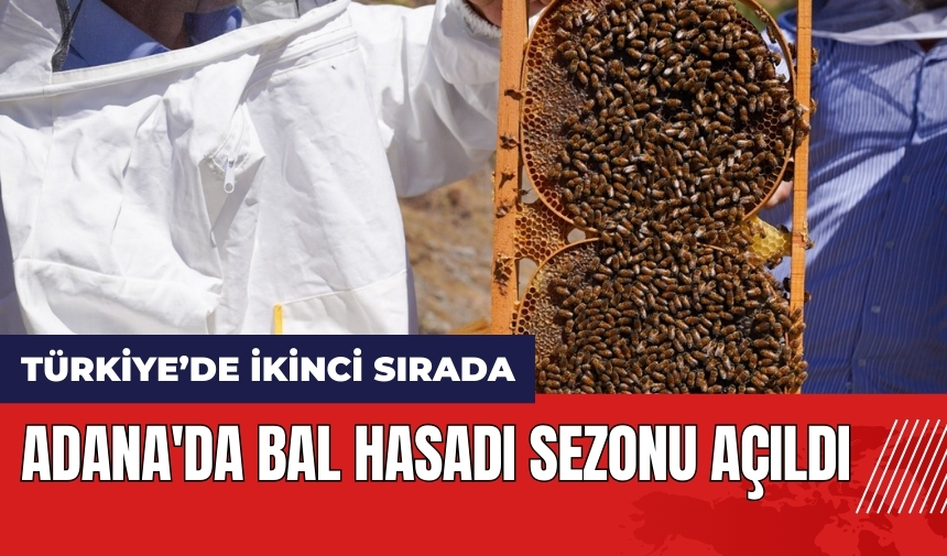 Adana'da bal hasadı sezonu açıldı