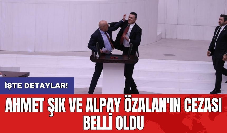 Ahmet Şık ve Alpay Özalan'ın cezası belli oldu