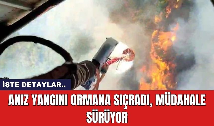 Anız yangını ormana sıçradı, müdahale sürüyor