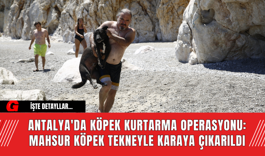 Antalya'da Köpek Kurtarma Operasyonu: Mahsur Köpek Tekneyle Karaya Çıkarıldı