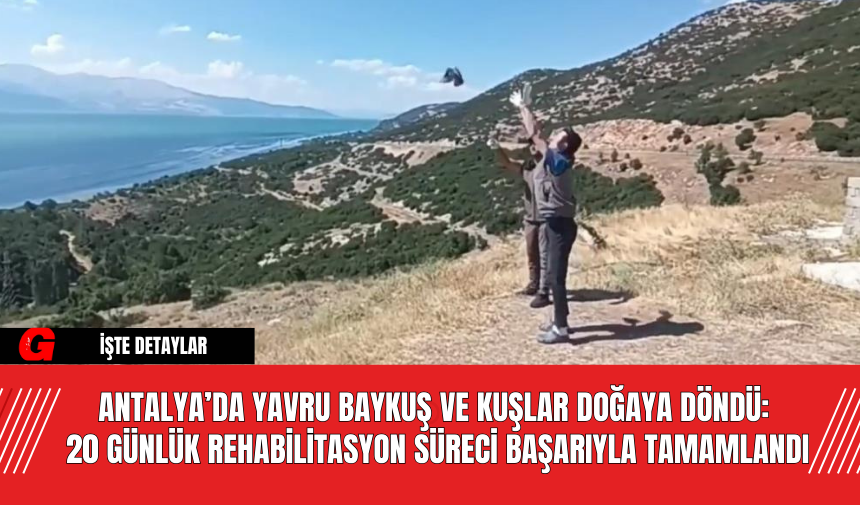 Antalya’da Yavru Baykuş ve Kuşlar Doğaya Döndü: 20 Günlük Rehabilitasyon Süreci Başarıyla Tamamlandı