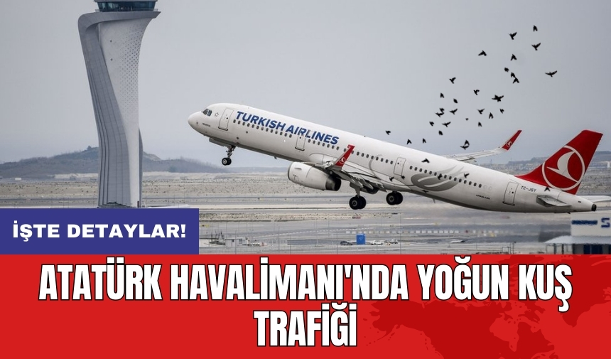 Atatürk Havalimanı'nda yoğun kuş trafiği