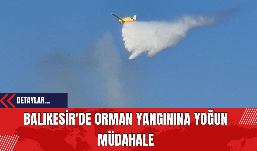 Balıkesir'de Orman Yangınına Yoğun Müdahale