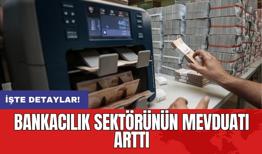 Bankacılık sektörünün mevduatı arttı