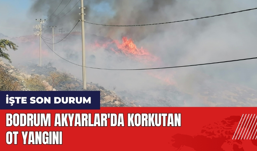 Bodrum Akyarlar'da korkutan ot yangını