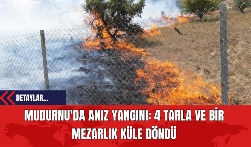 Mudurnu'da Anız Yangını: 4 Tarla ve Bir Mezarlık Küle Döndü