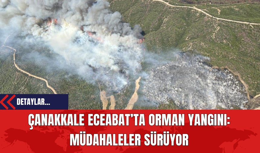 Çanakkale Eceabat’ta Orman Yangını: Müdahaleler Sürüyor