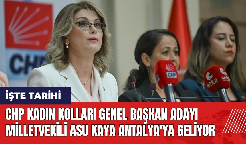 CHP Kadın Kolları Genel Başkan adayı milletvekili Asu Kaya Antalya'ya geliyor