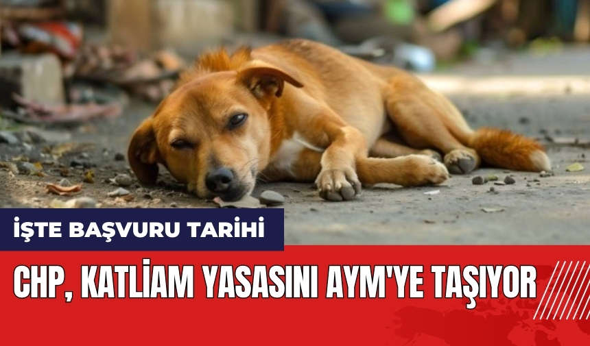 CHP katliam yasasını AYM'ye taşıyor! İşte başvuru tarihi