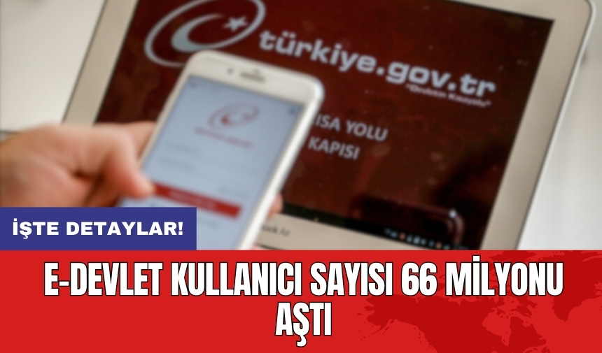 e-Devlet kullanıcı sayısı 66 milyonu aştı