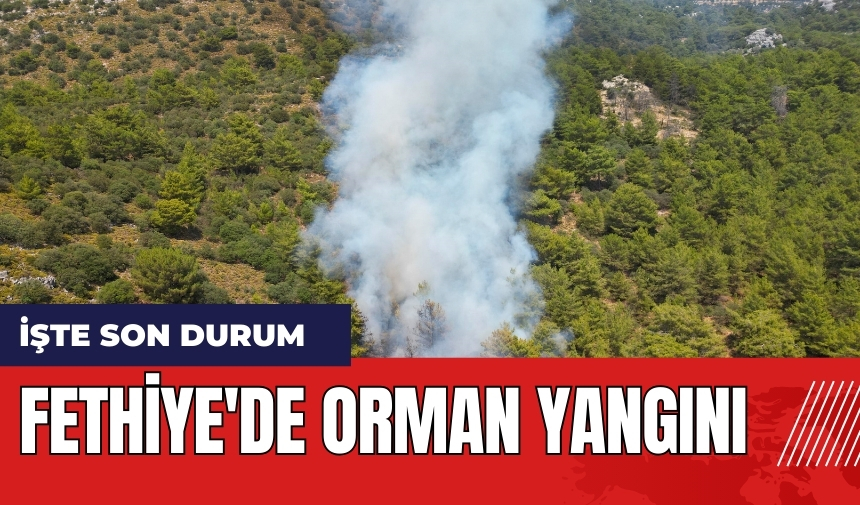 Fethiye'de orman yangını