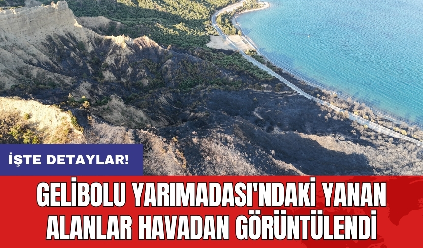 Gelibolu Yarımadası'ndaki yanan alanlar havadan görüntülendi