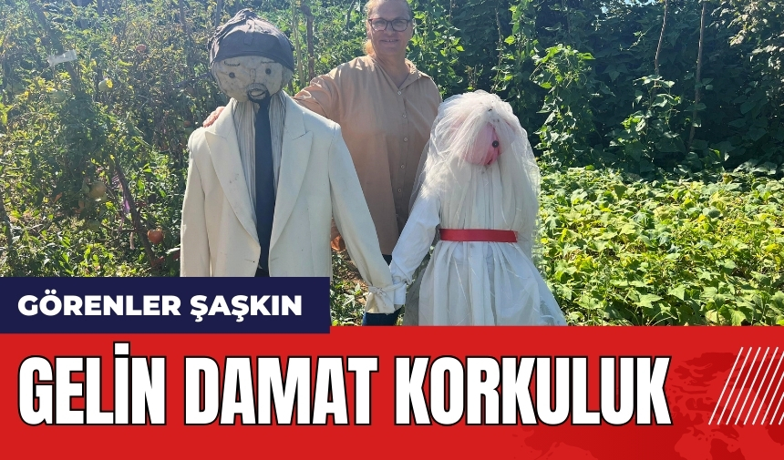 Görenler şaşkın: Gelin Damat korkuluk