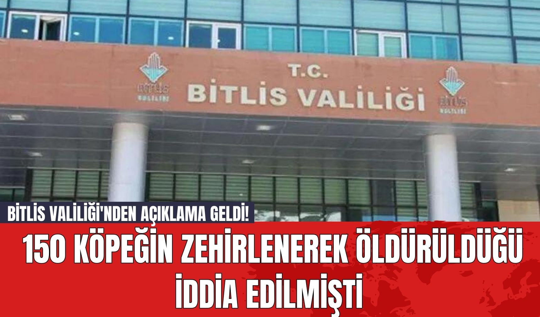 Bitlis Valiliği'nden Açıklama Geldi! 150 Köpeğin Zehirlenerek Öldürüldüğü İddia Edilmişti