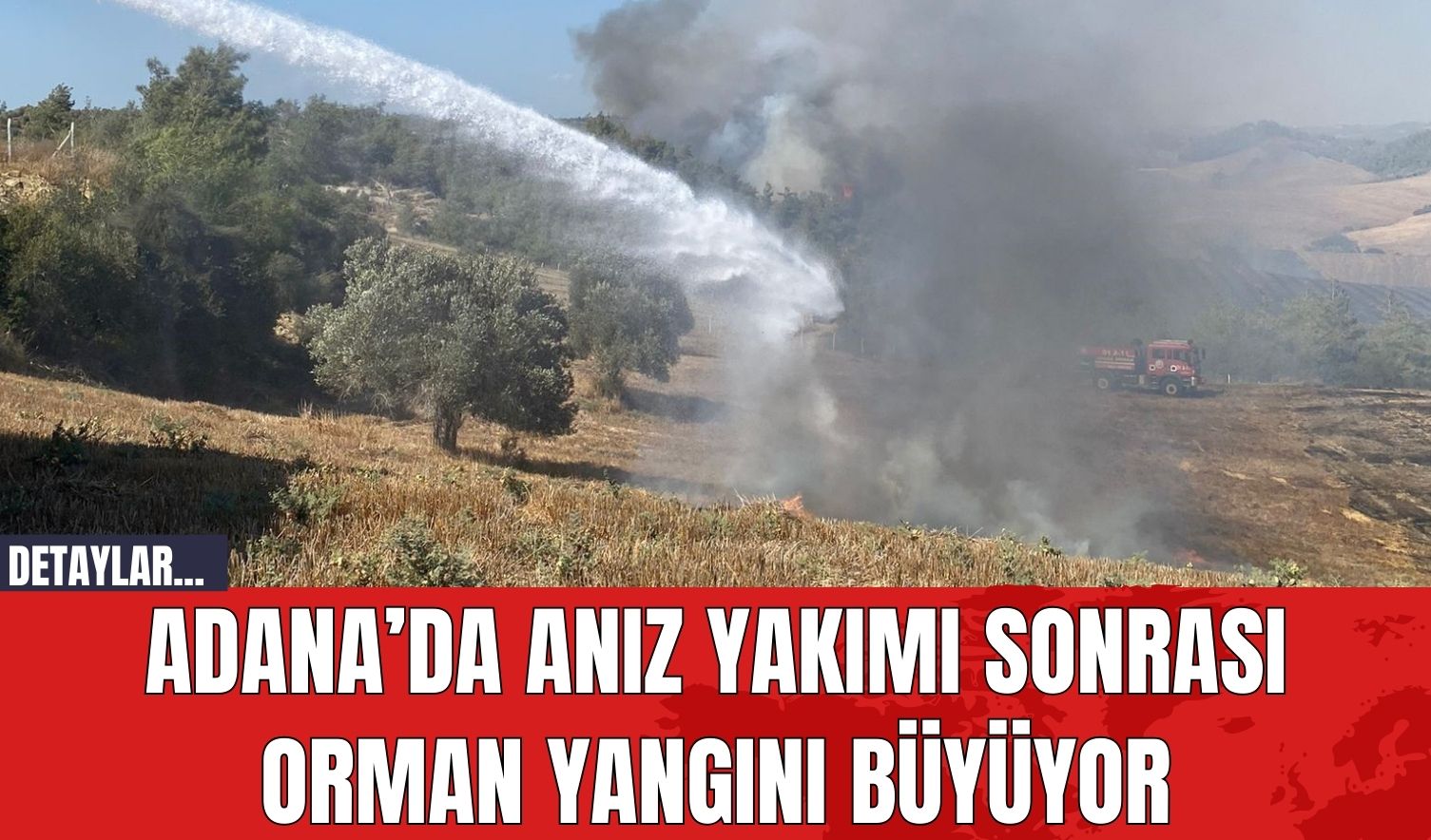 Adana’da anız yakımı sonrası orman yangını büyüyor