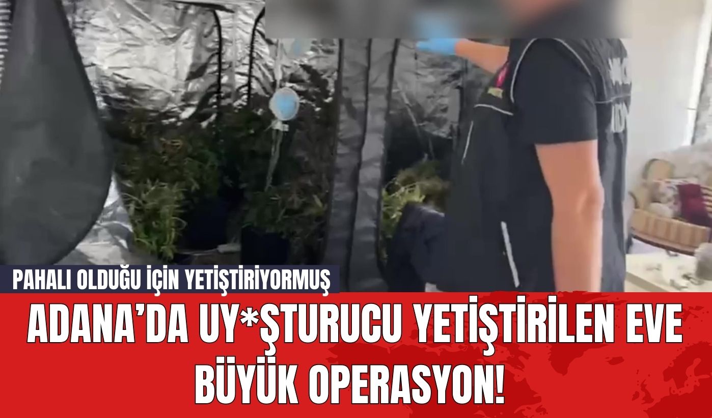 Adana’da Uy*şturucu Yetiştirilen Eve Büyük Operasyon! Pahalı Olduğu İçin Yetiştiriyormuş