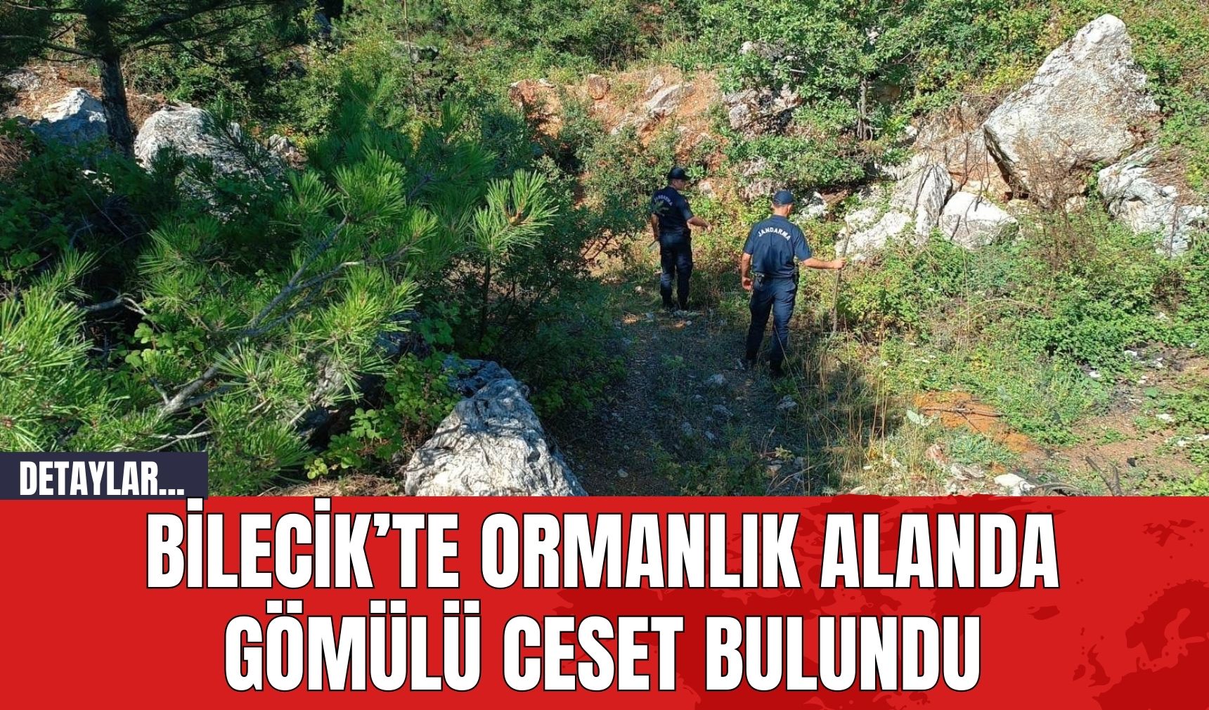 Bilecik’te Ormanlık Alanda Gömülü Ces*t Bulundu