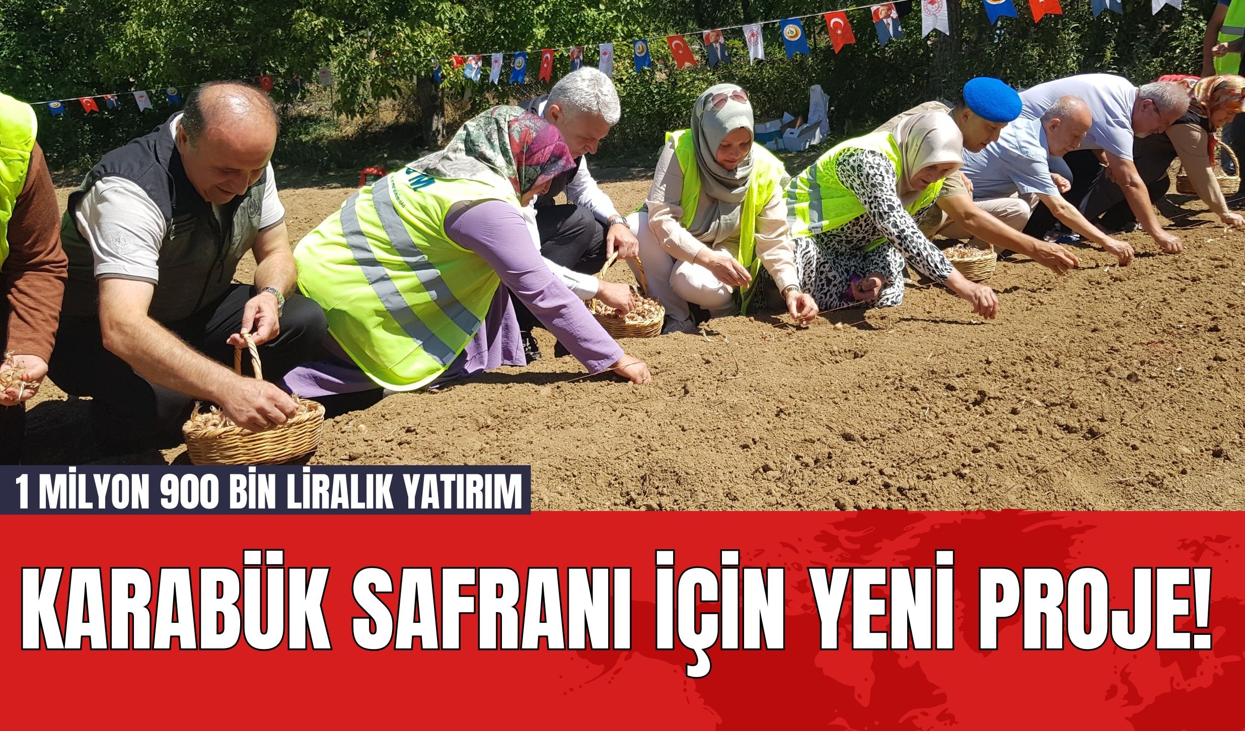 Karabük Safranı İçin Yeni Proje! 1 Milyon 900 Bin Liralık Yatırım