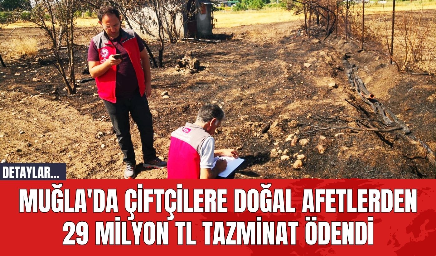 Muğla'da Çiftçilere Doğal Afetlerden 29 Milyon TL Tazminat Ödendi