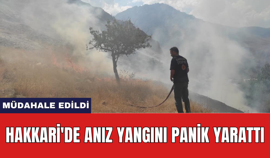 Hakkari'de anız yangını panik yarattı