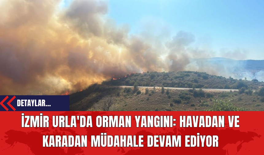 İzmir Urla'da Orman Yangını: Havadan ve Karadan Müdahale Devam Ediyor