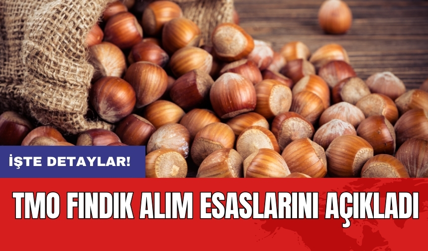 TMO fındık alım esaslarını açıkladı