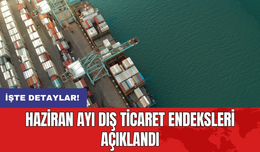 Haziran ayı dış ticaret endeksleri açıklandı