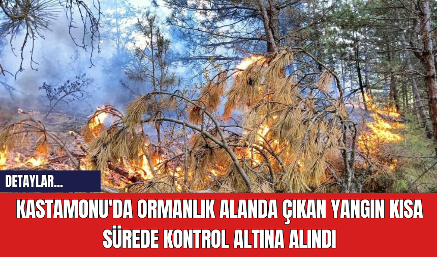 Kastamonu'da Ormanlık Alanda Çıkan Yangın Kısa Sürede Kontrol Altına Alındı