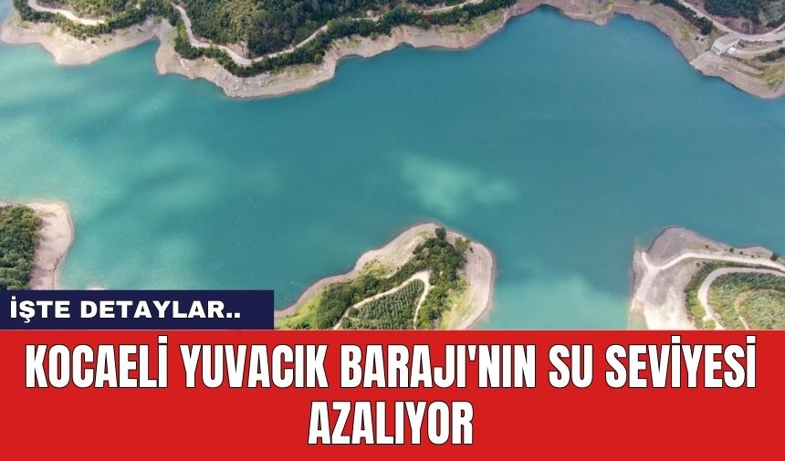 Kocaeli Yuvacık Barajı'nın su seviyesi azalıyor