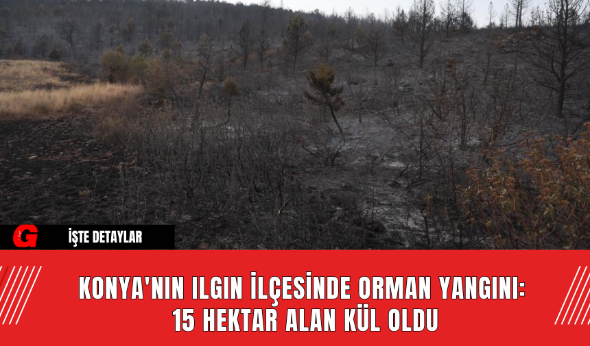 Konya'nın Ilgın İlçesinde Orman Yangını:  15 Hektar Alan Kül Oldu