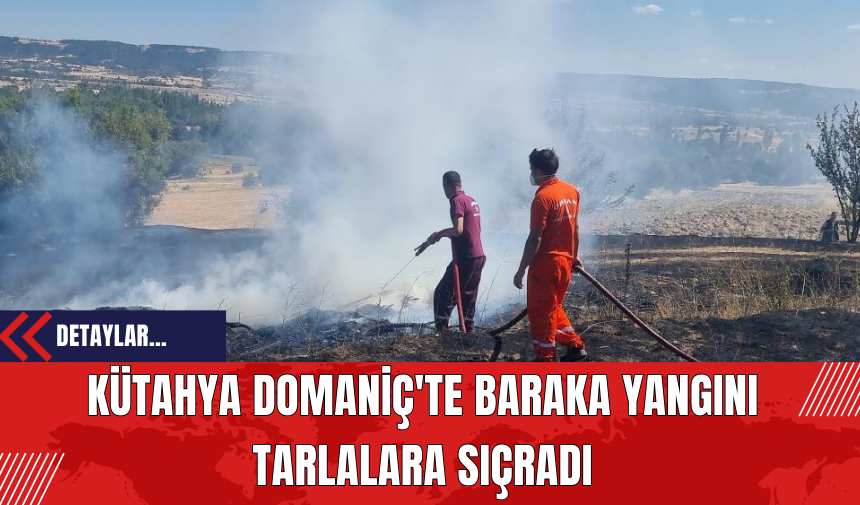 Kütahya Domaniç'te Baraka Yangını Tarlalara Sıçradı